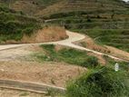Land for Sale in Ambewela