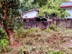 Land for Sale in Ambulgama