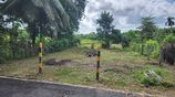 Land for Sale in Ameragoda Road, Malabe