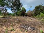 Land for Sale in Ampara