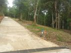 Land For Sale in Ampitiya