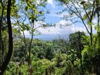 Land For sale in Ampitiya - Gurudeniya Rd (Pichchamalwatta rd)