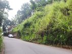 Land for Sale in Ampitiya – Kandy