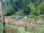 Land for Sale in Ampitiya, Kandy