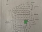 Land for Sale in Andiambalama