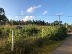 Land for Sale in Andiambalama