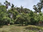 Land for Sale in Andigama, Chilaw