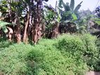 Land for Sale in Angoda