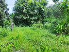 Land for Sale in Angoda