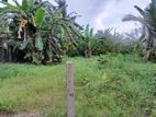 Land for Sale in Angoda.