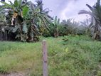 Land for Sale in Angoda