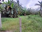 Land for Sale in Angoda