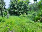 Land for Sale in Angoda