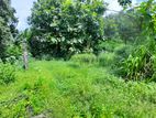 Land for Sale in Angoda