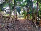 Land for Sale in Angoda