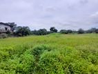 Land for Sale in Angoda