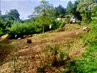 Land for Sale in Anguruwaathota