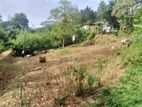 Land for Sale in Anguruwaathota.