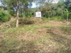 Land for Sale in Anguruwathotha - Horana