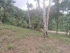 Land for Sale in Anguruwathotha - Horana