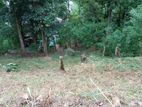 Land for Sale in Aniwatta Kandy