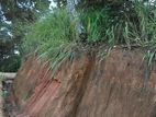 Land for Sale in Aniwatte , Kandy