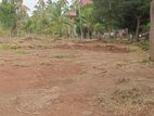 Land for Sale in අනුරාධපුරයෙන්