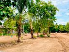 Land for Sale in Anuradapura