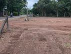 Land for Sale in Anuradapura