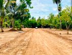 Land for Sale in Anuradapura