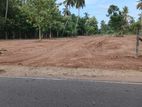 Land for Sale in Anuradapura