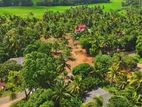 Land for Sale in Anuradapura