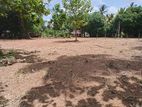 Land for Sale in Anuradapura