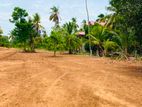 Land for Sale in Anuradapura