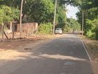 Land for Sale in Anuradapura