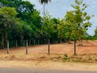 Land for Sale in Anuradapura