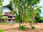 Land for sale in Anuradapura