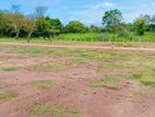 Land for Sale in Anuradapura Perimiyankulama