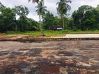 Land for Sale in Anuradhapura - Cl615