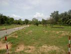 Land for sale in Anuradhapura ( දේපල අංක 44 - 2410 )