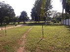 Land for Sale in Anuradhapura