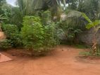 Land for Sale in Anuradhapura