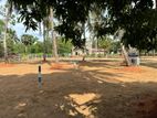 Land for Sale in Anuradhapura