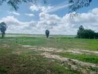 Land for Sale in Anuradhapura