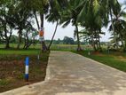 Land for Sale in Anuradhapura