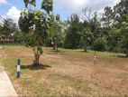 Land for Sale in Anuradhapura