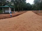 Land for Sale in Anuradhapura