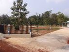 Land for Sale in Anuradhapura