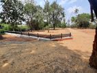 Land For Sale in Anuradhapura