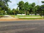 Land for Sale in Anuradhapura